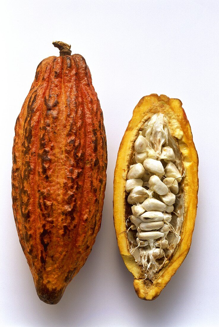 Cacao seed pod, cut open