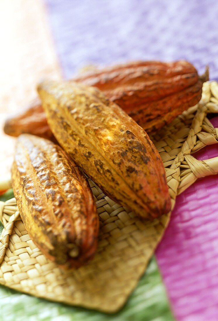 Cacao seed pods on bamboo mat