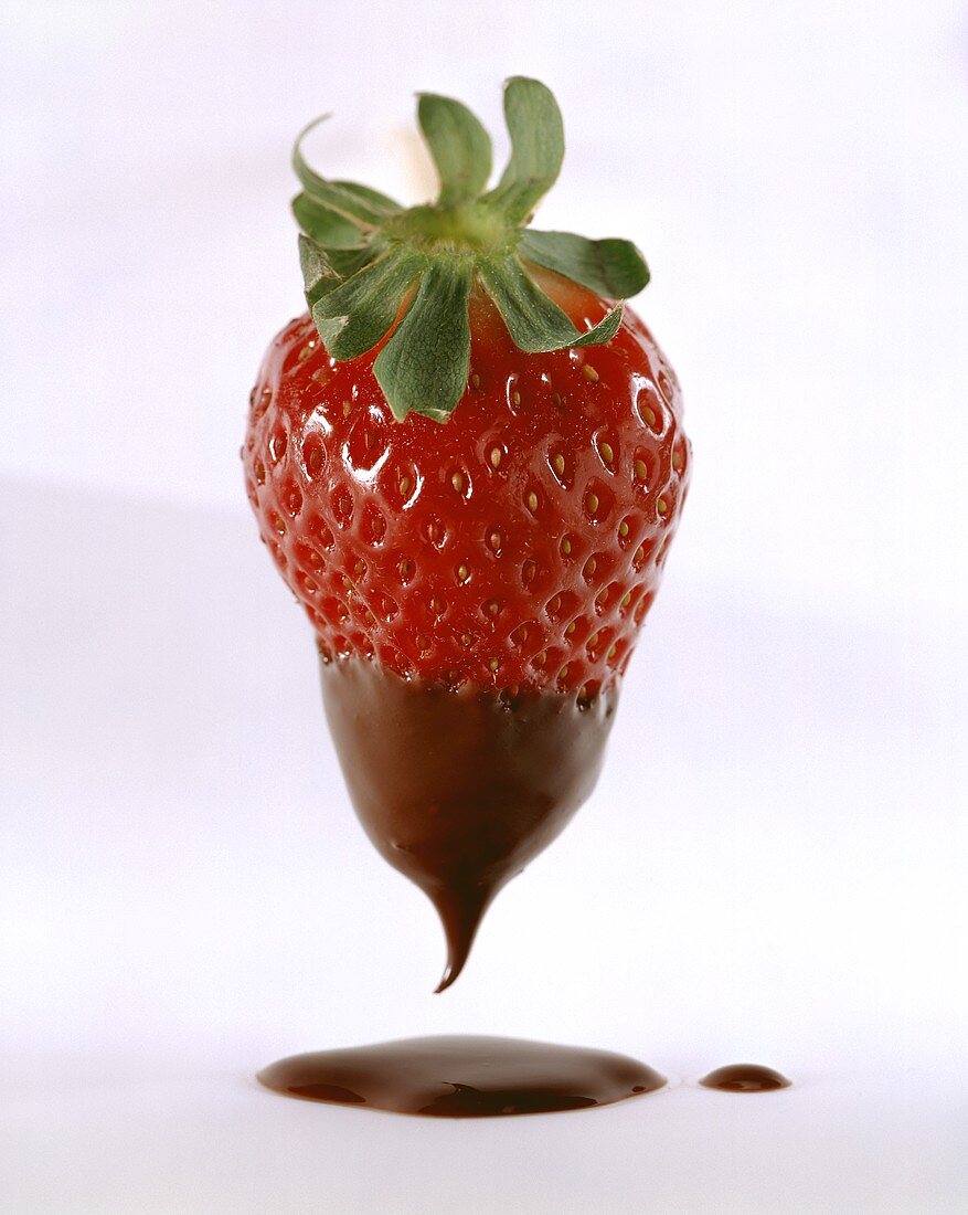Erdbeere, halb mit Schokoladenglasur