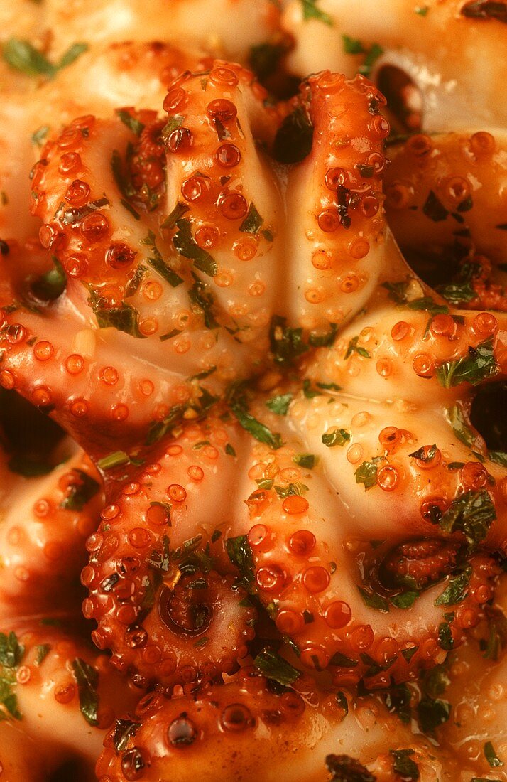 Marinated octopus with parsley