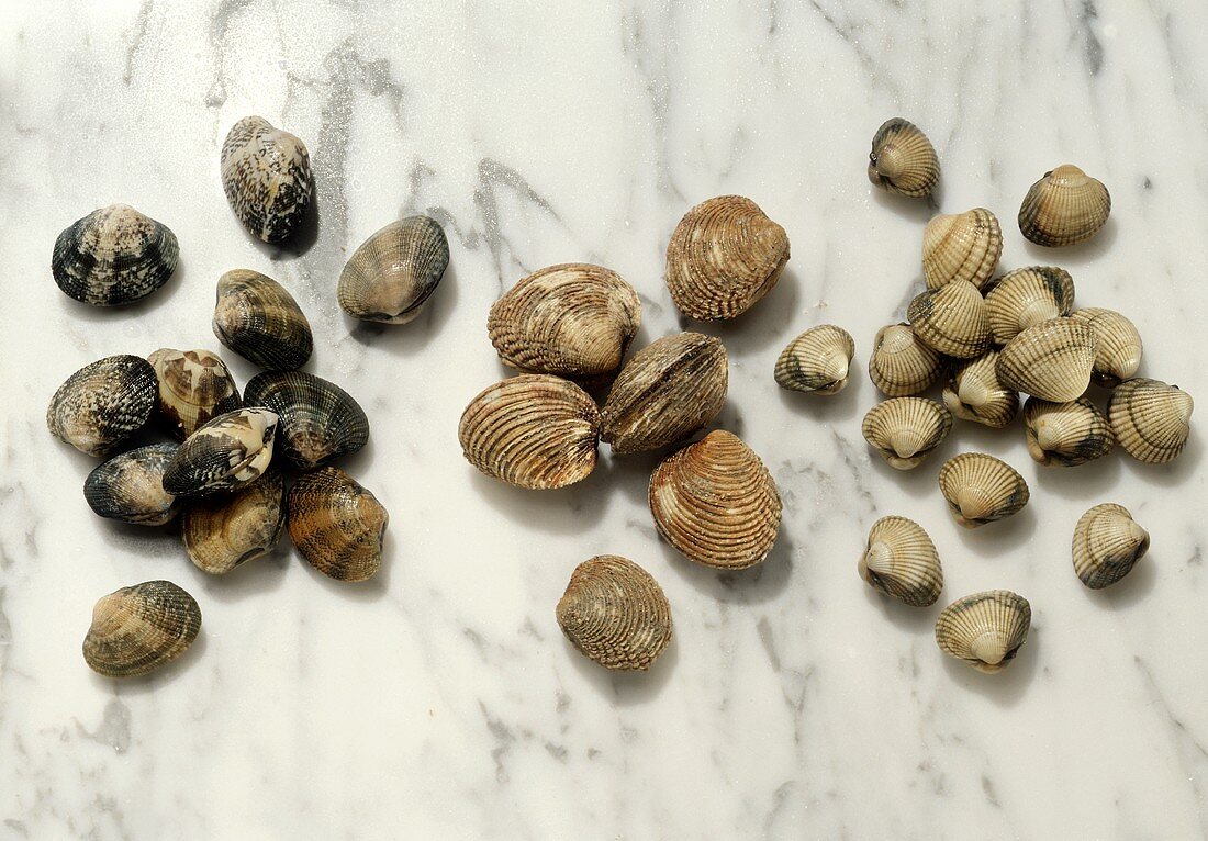 Assorted Clams