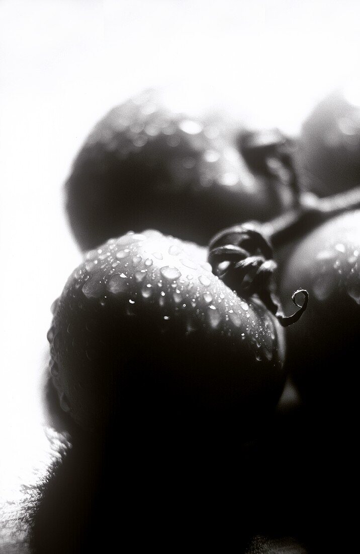 Tomatoes with drops of water