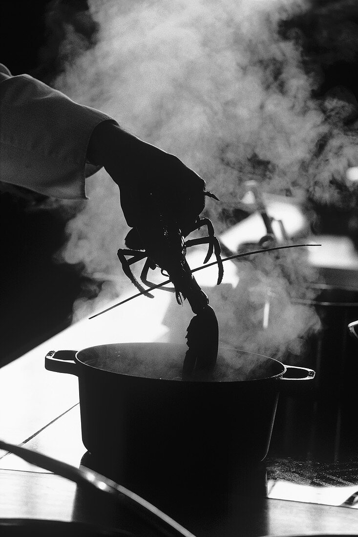 Chef throwing lobster into steaming pan