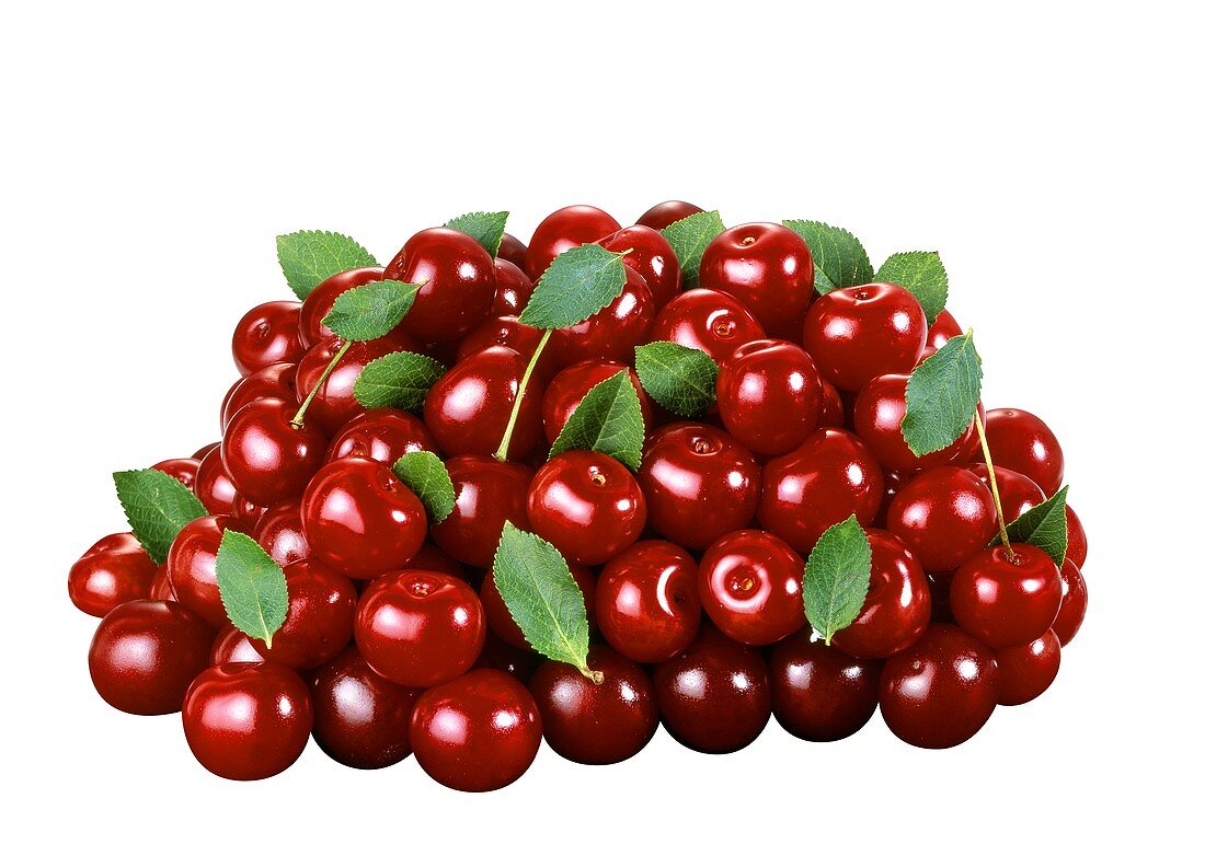 A heap of red cherries with leaves