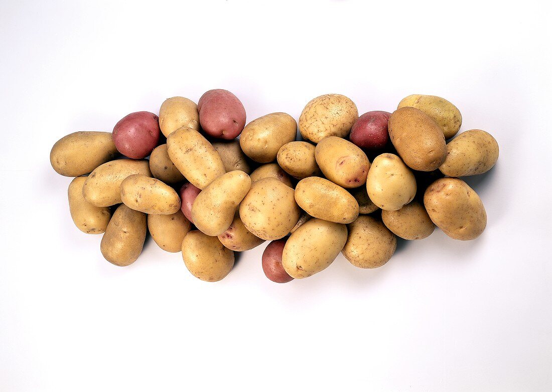 Various varieties of potatoes