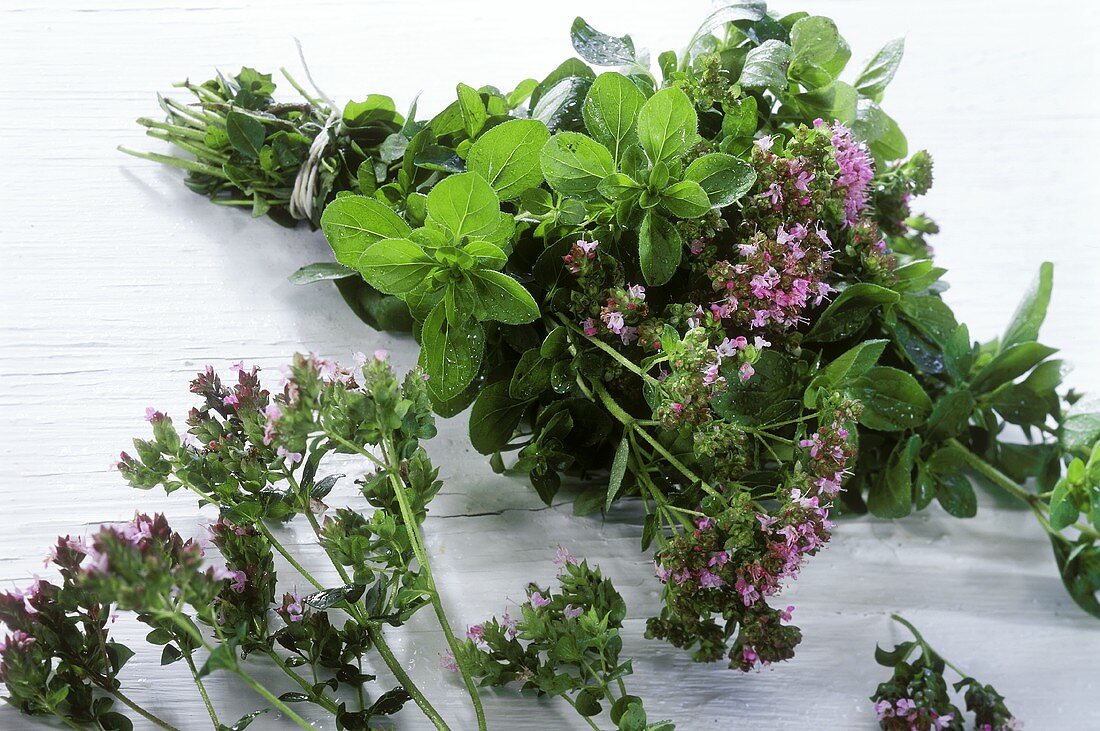 Bunch of fresh oregano with flowers