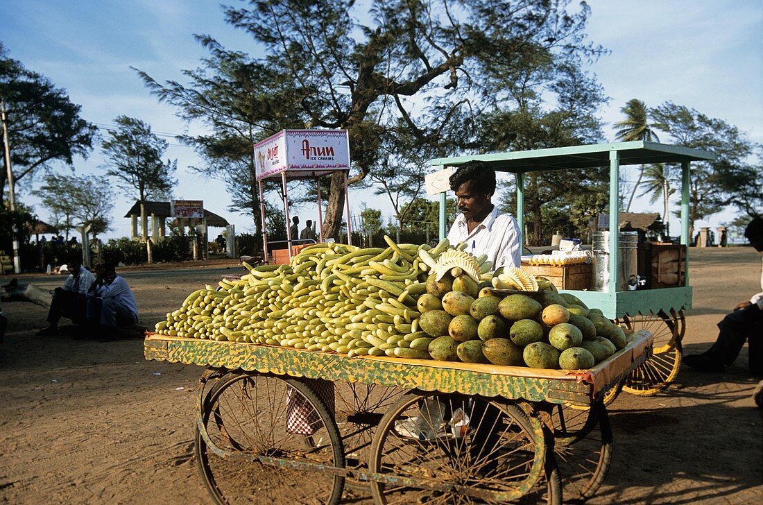 Indischer Gemüseverkäufer mit Holzkarren