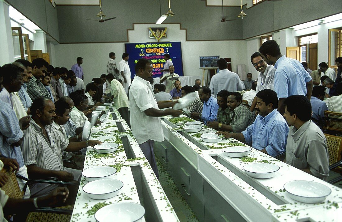 Cardamom auction in India