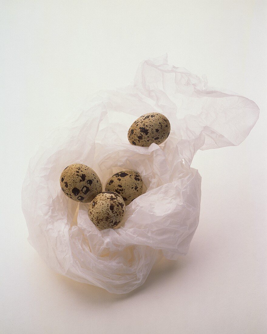 Quail's eggs on white paper