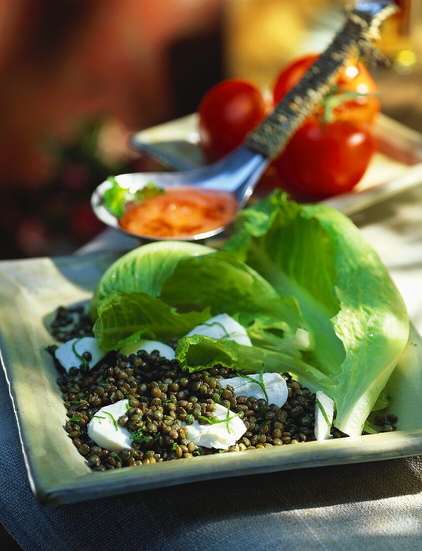 Lentil salad with mozzarella