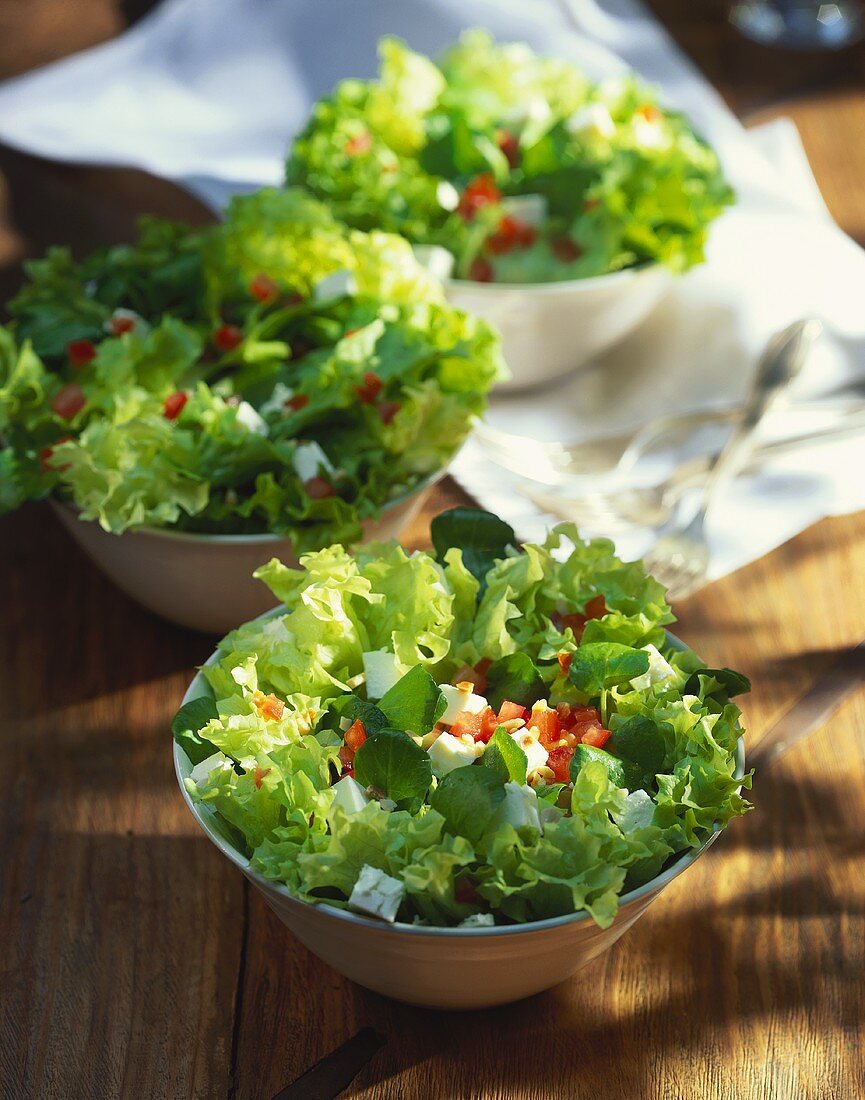 Gemischter Blattsalat mit Tomaten und Schafskäse