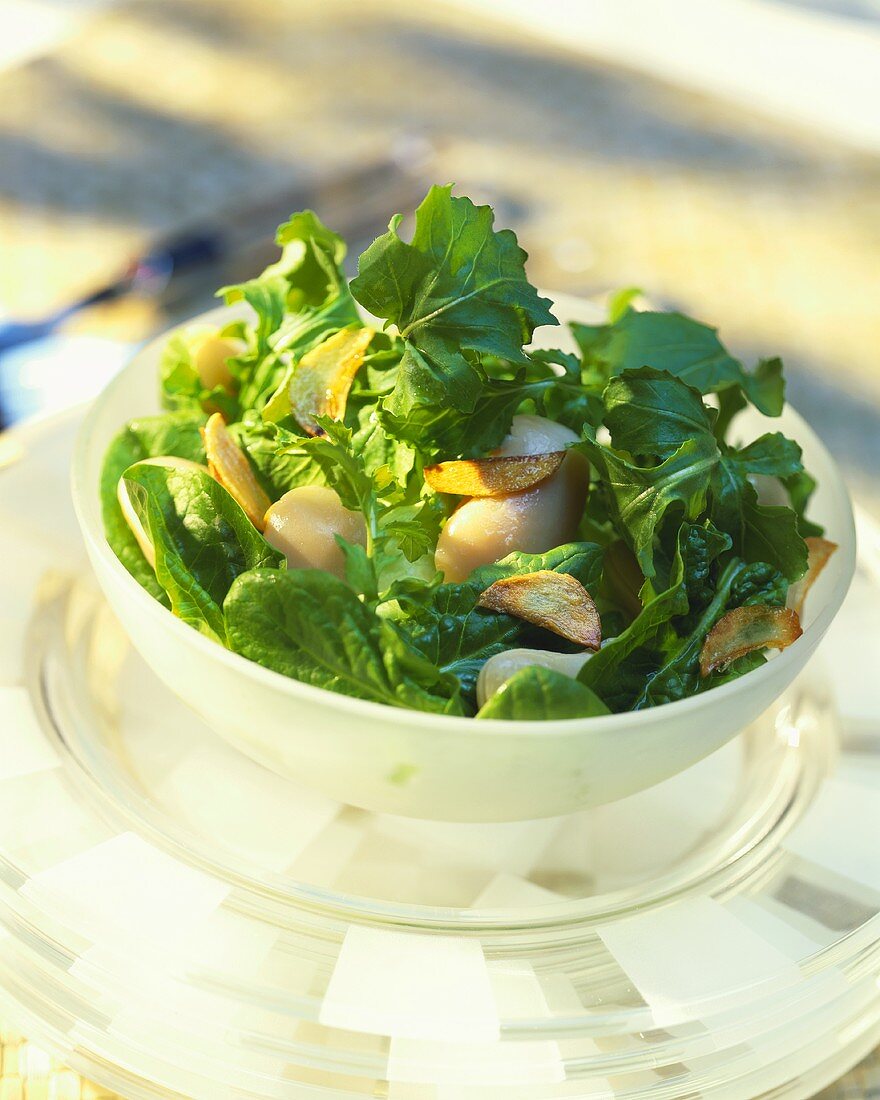 Spinatsalat mit weissen Bohnen und Knoblauch