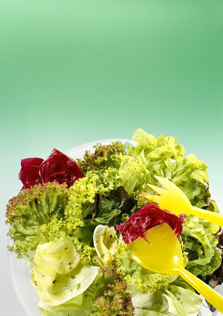 Gemischter Blattsalat mit Vinaigrette