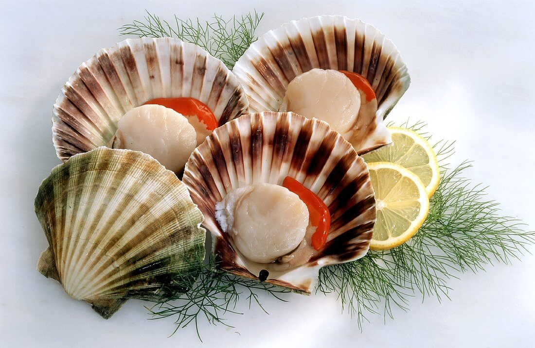 Scallops, opened, with lemon and dill