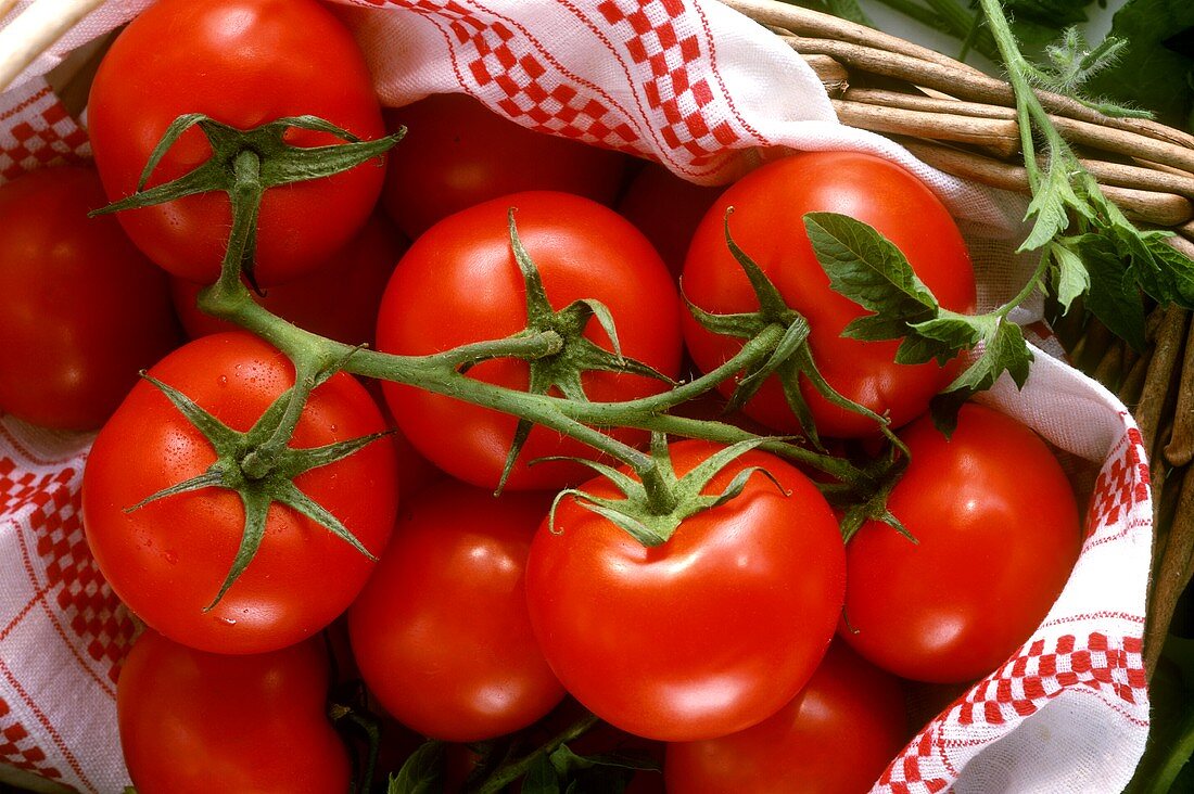 Tomatoes on tea towel in basket