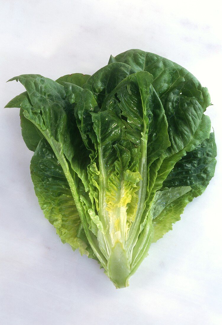 Romaine lettuce