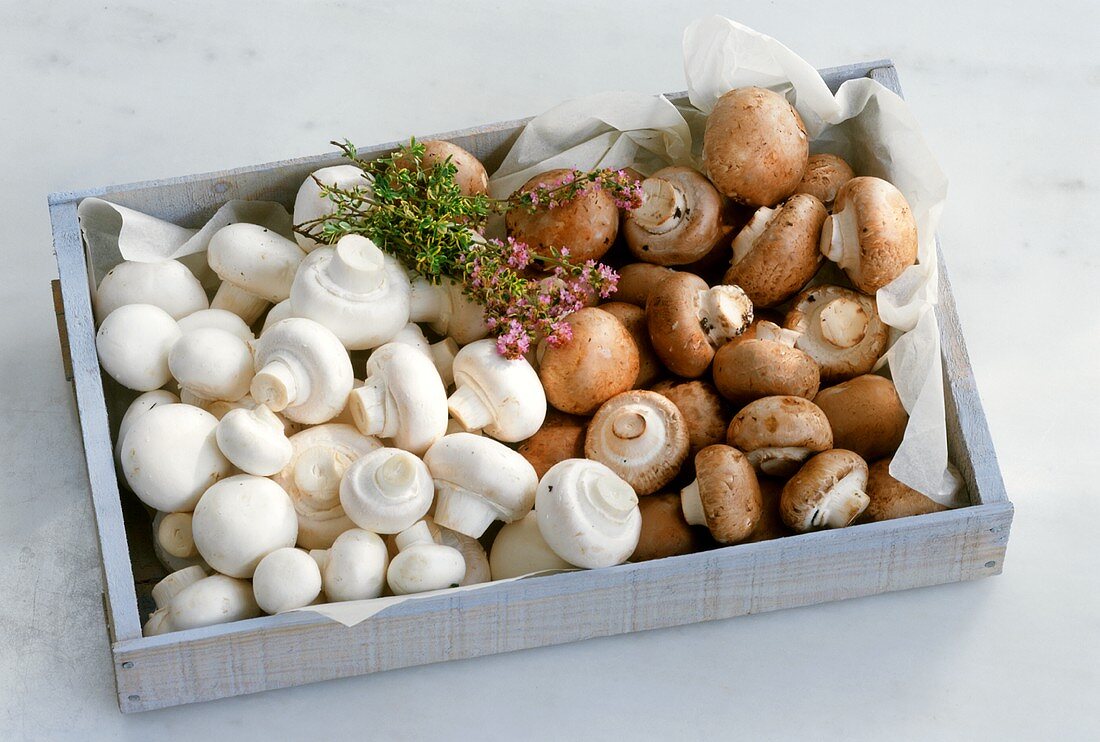 White and brown mushrooms in crate