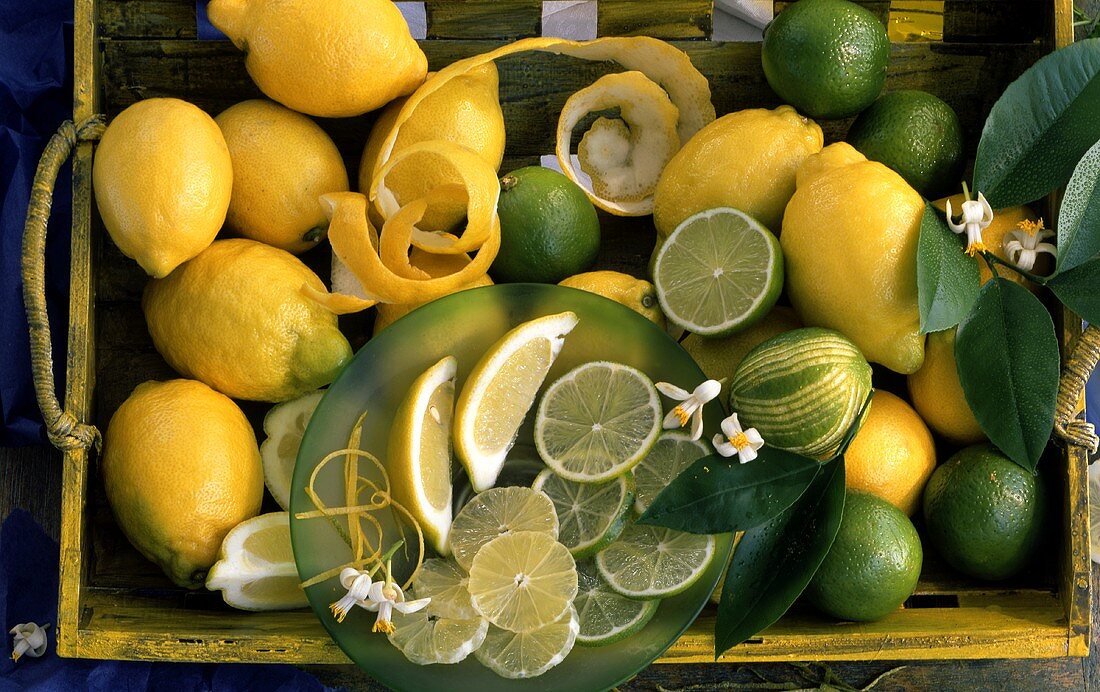Still life with lemons and limes on tray