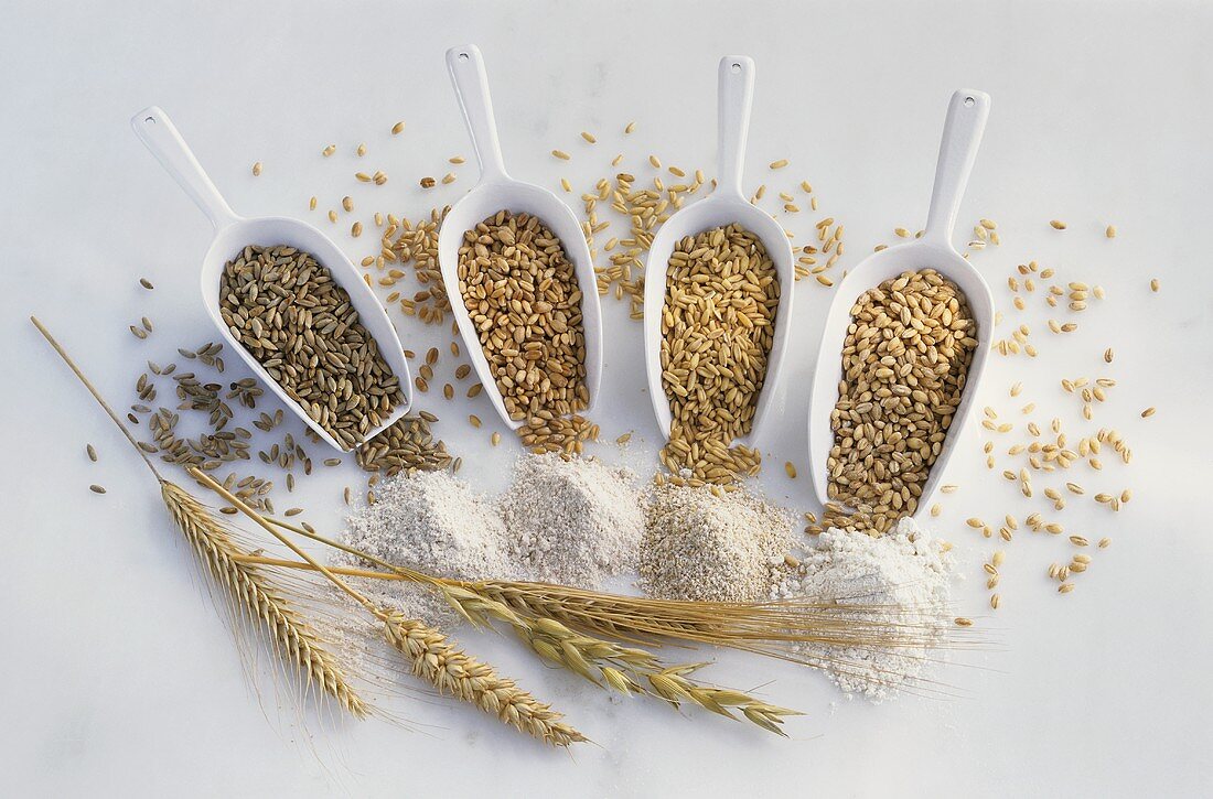 Verschiedene Getreide- und Mehlsorten mit Ähren