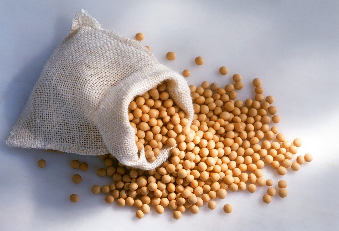Soya beans in small sack