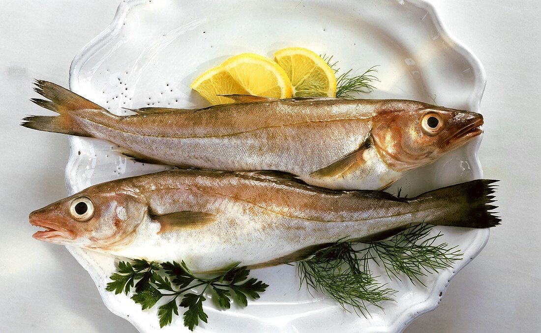 Fresh whiting with herbs and lemons