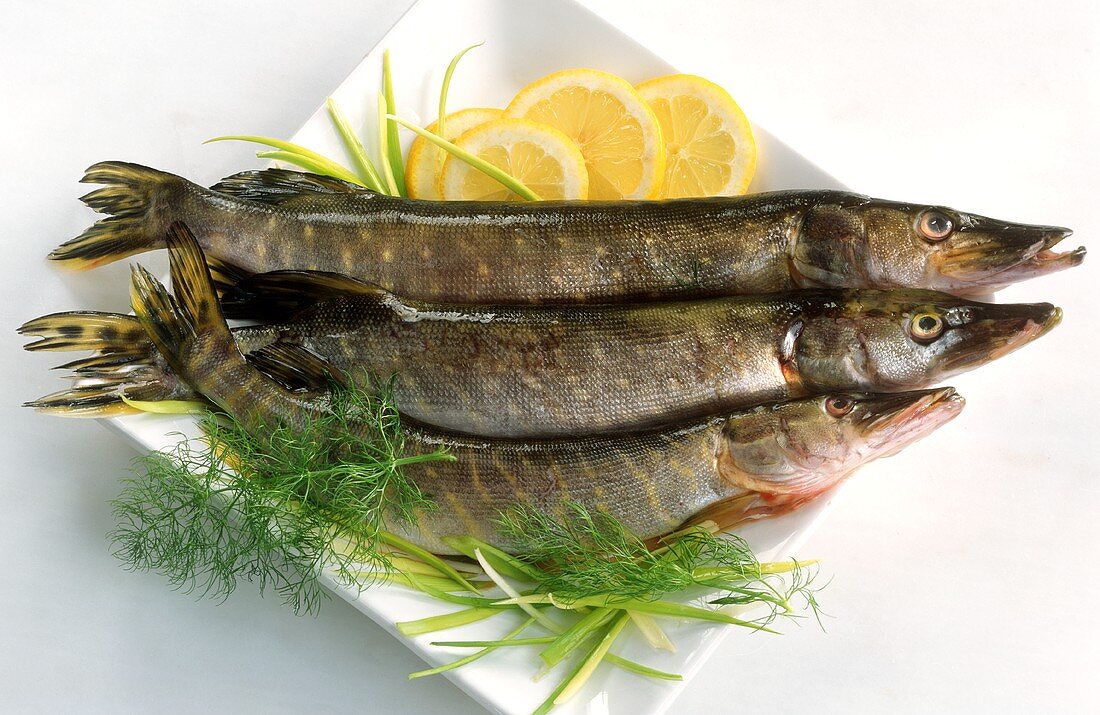 Three pike with lemons and dill on plate