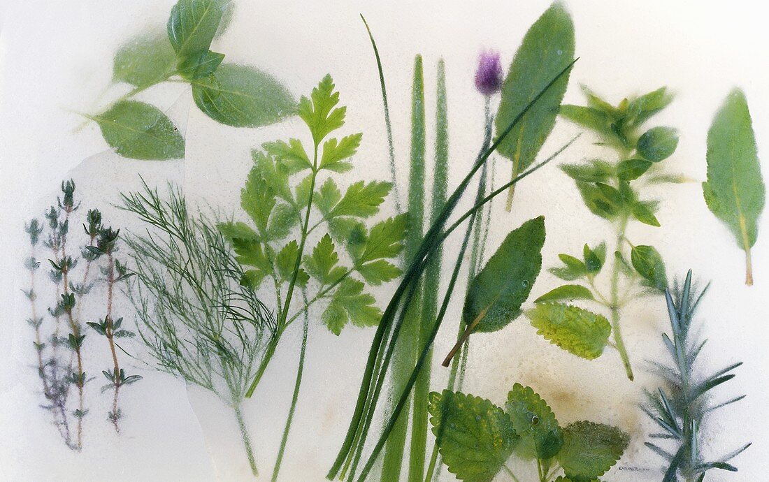 Various frozen herbs