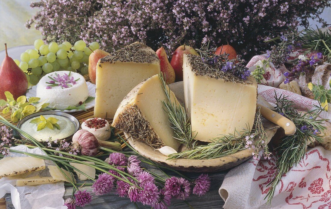 Cheese still life with fruit and herbs