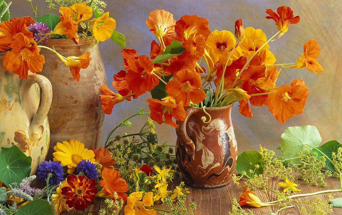 Still life with edible flowers