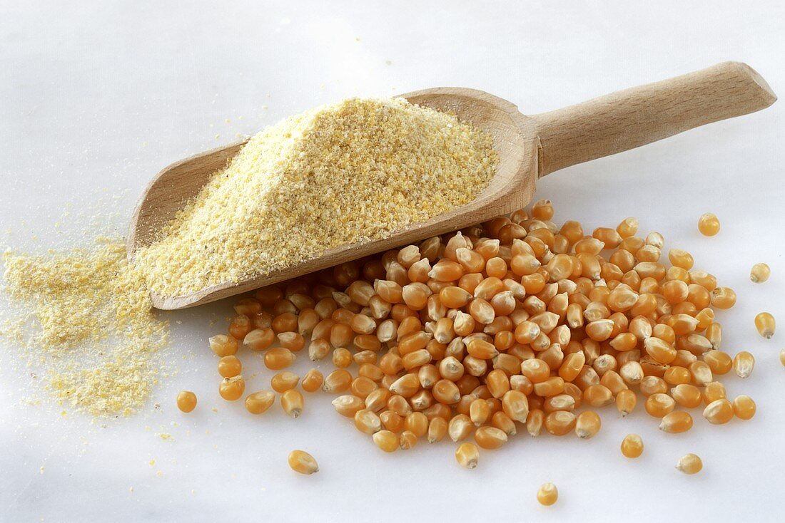 Corncobs and scoop of corn meal