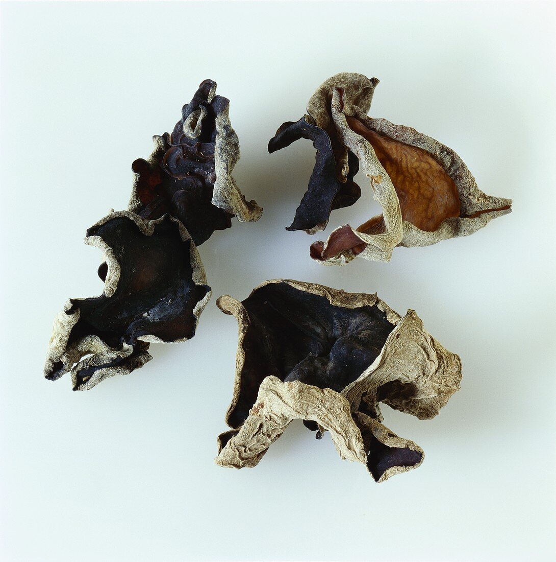 Dried jelly ear fungus