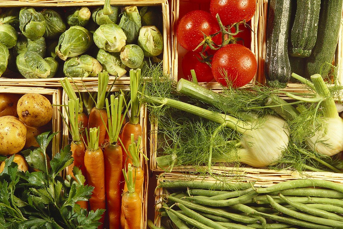 Various types of vegetables in crates