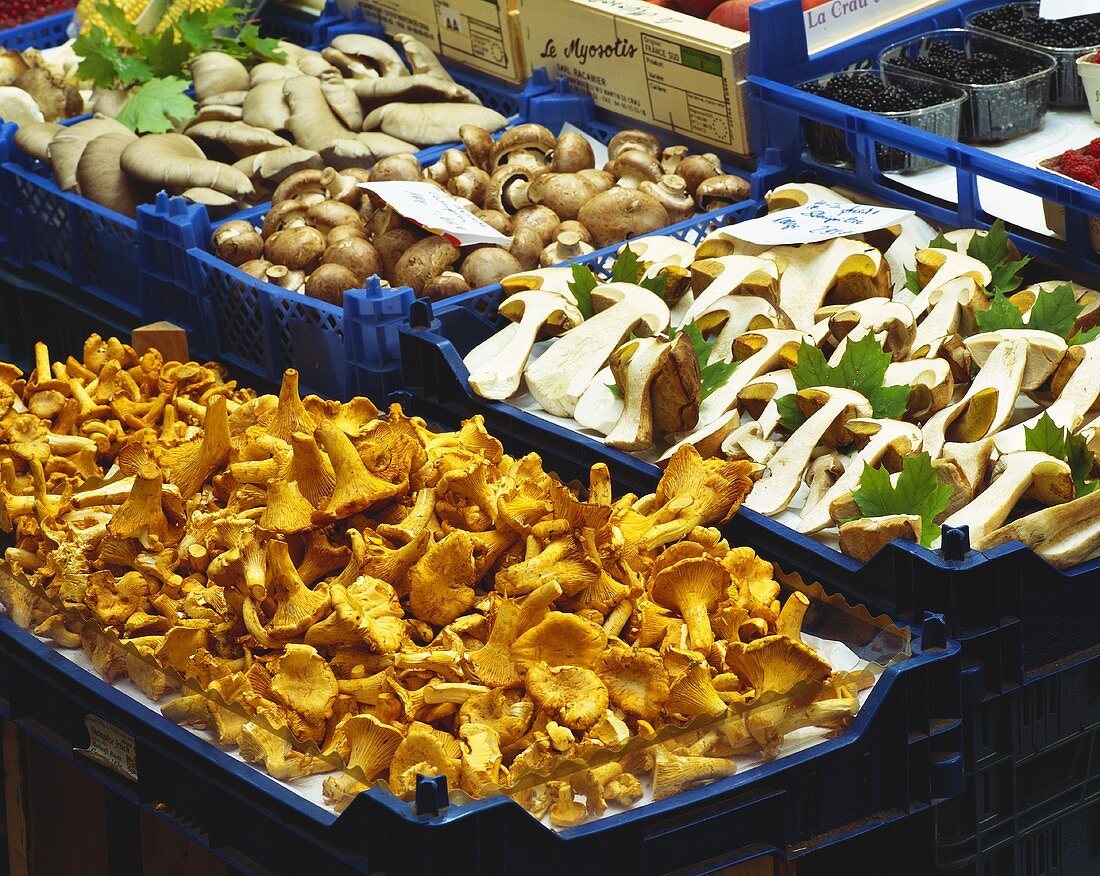 Verschiedene Pilze in Steigen auf dem Markt