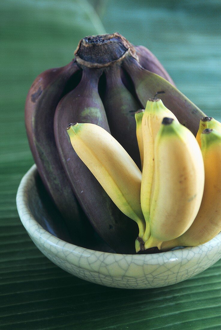 Yellow and red bananas in a fruit bowl