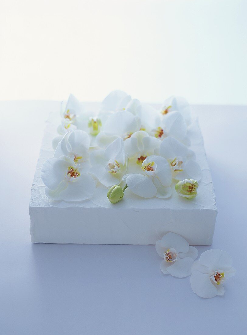 weiße Hochzeitstorte mit Orchideen