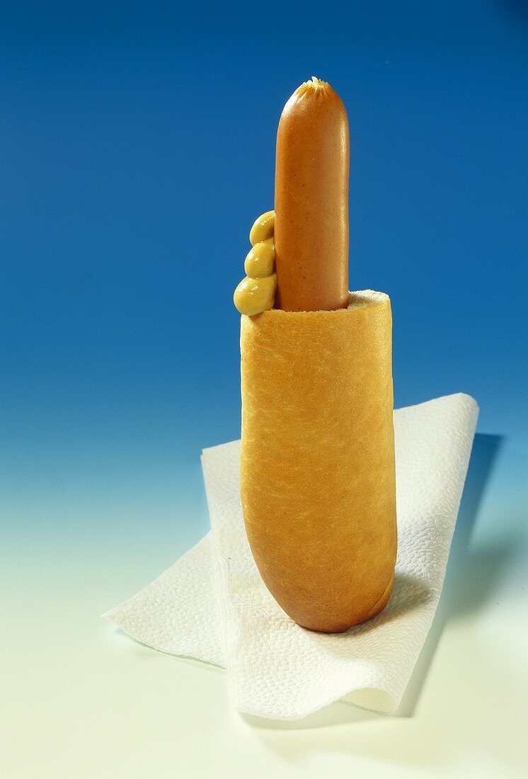 Hot dog with mustard on napkin