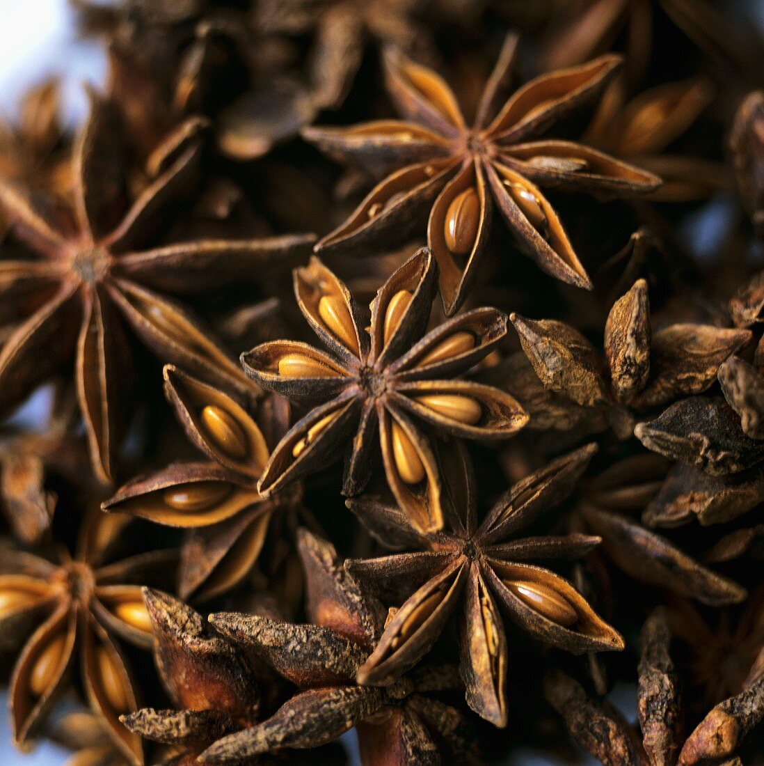 Star Anise