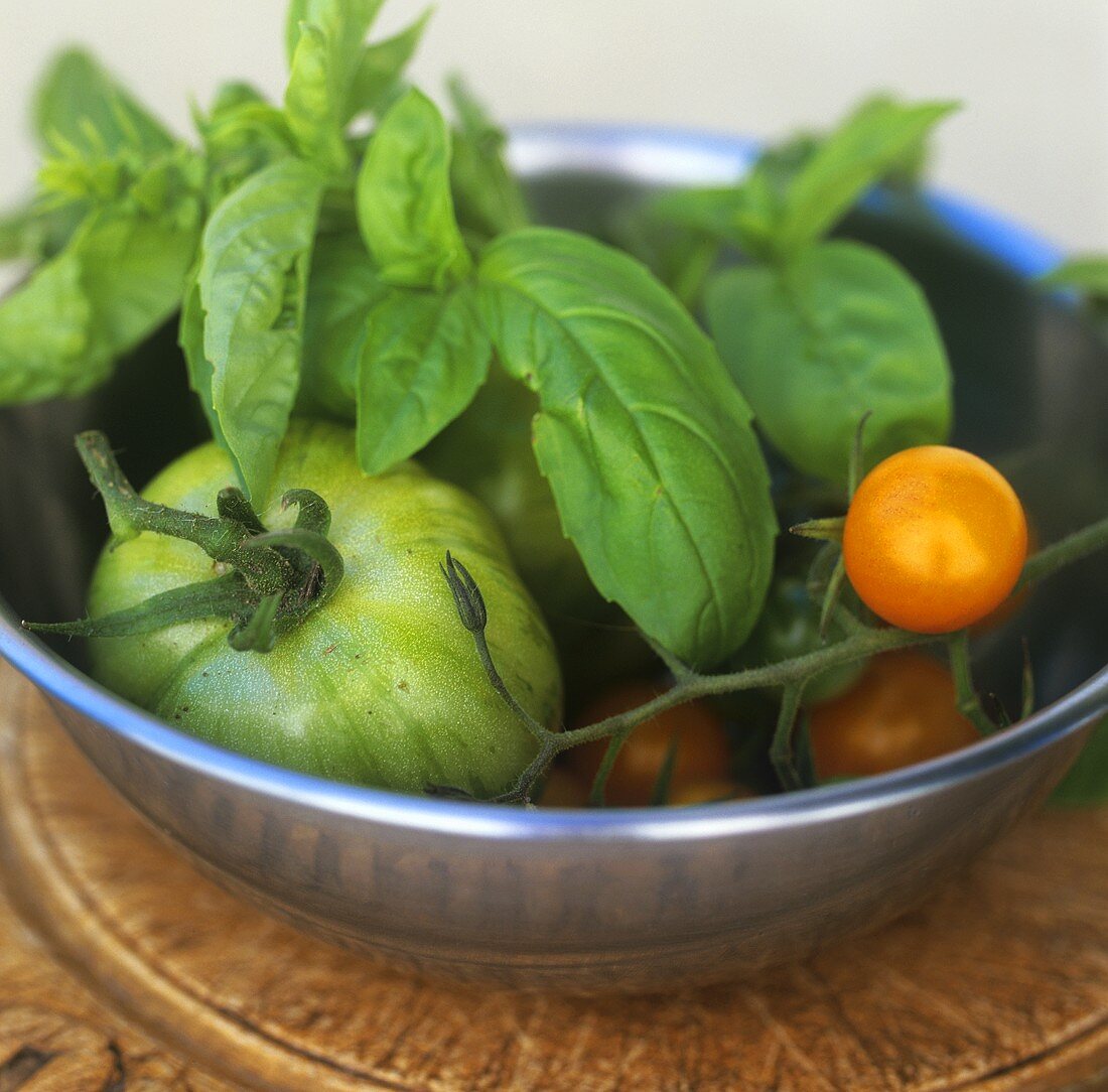 Green tomatoes, cherry tomatoes and basil in bowl