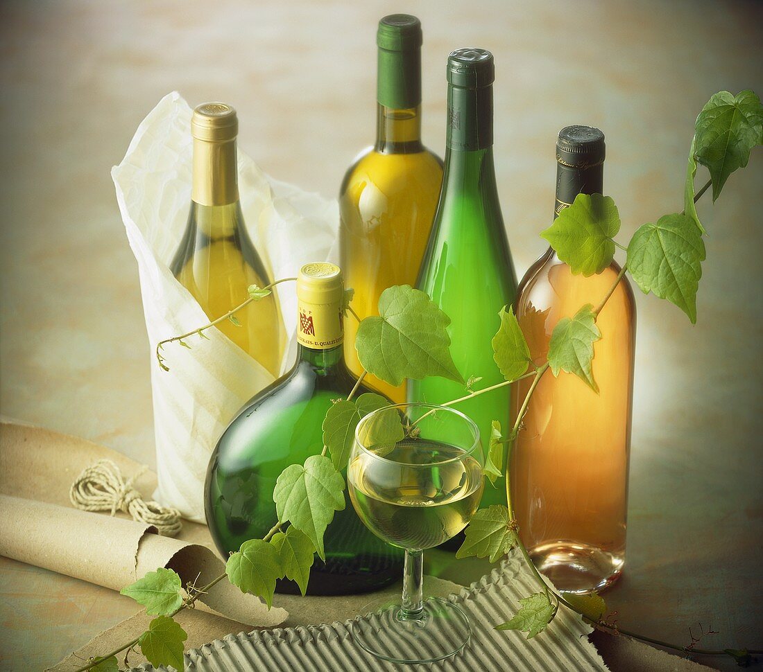 Verschiedene Weissweinflaschen und Glas Weißwein; Weinranke