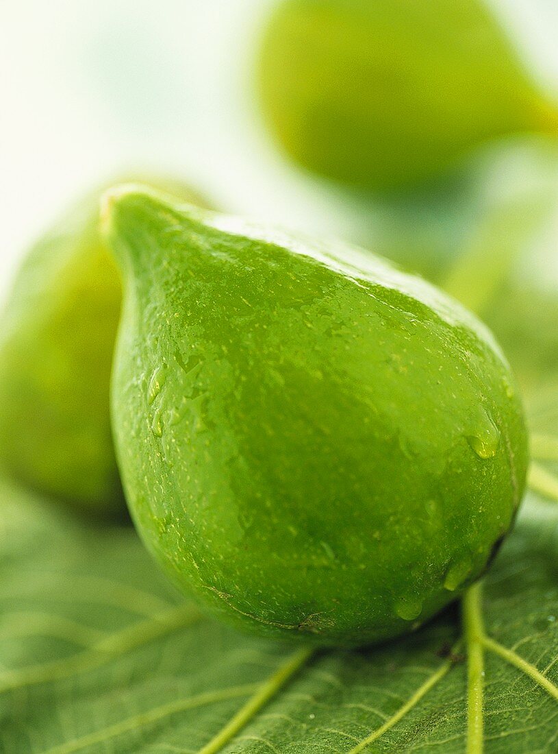Fresh green figs