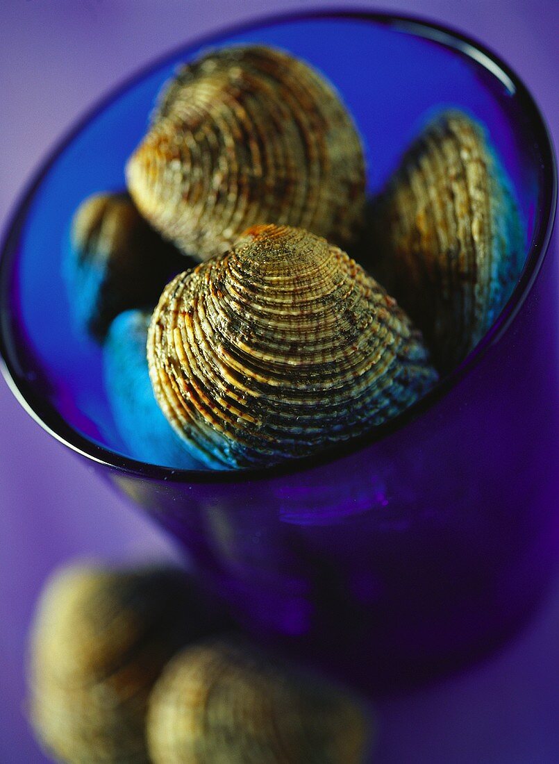 Clams in blue bowl