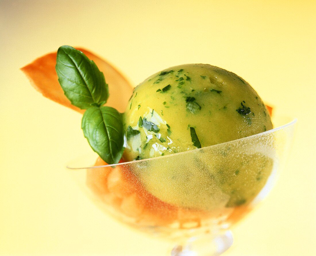 Basilikum-Mango-Sorbet in Dessertschale