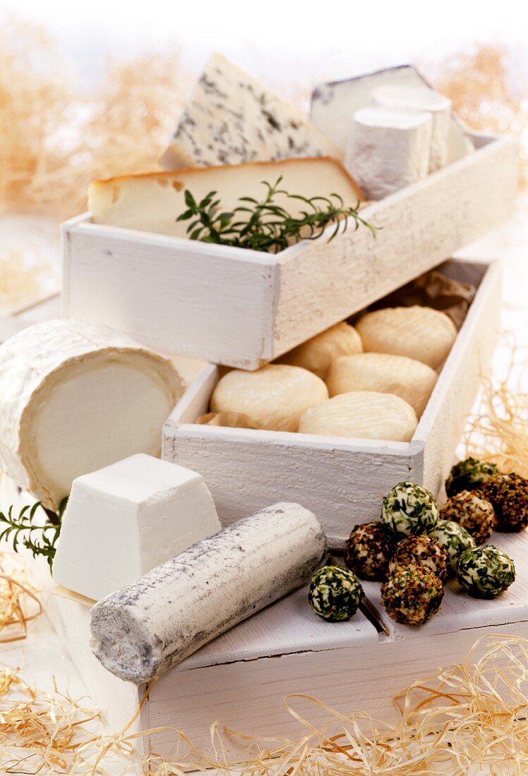 Many different types of goat's cheese