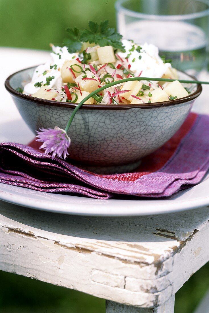 Kartoffel-Radieschen-Salat mit Quark und Schnittlauch