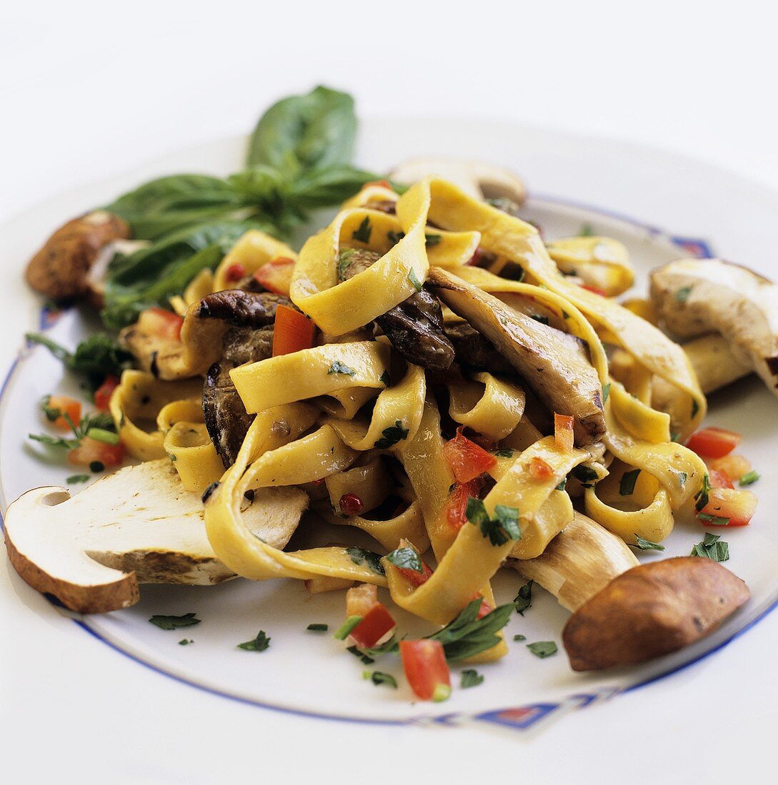 Tagliatelle ai porcini (Bandnudeln mit Steinpilzen, Italien)