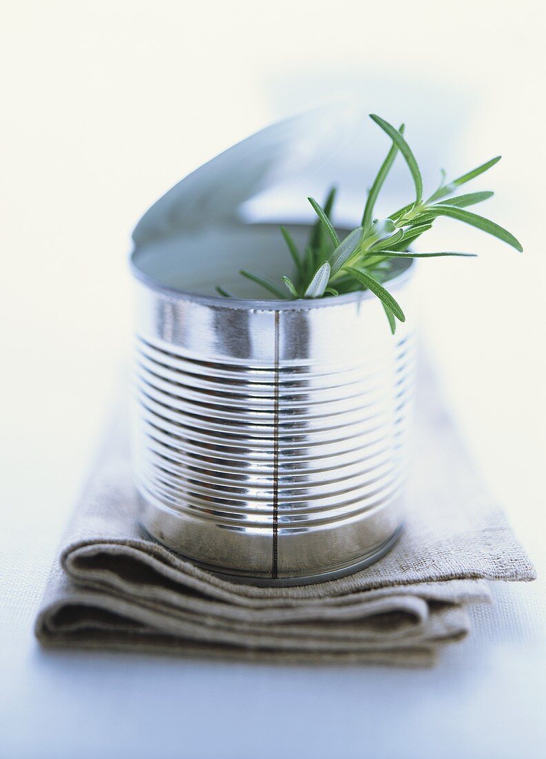 Sprig of fresh rosemary in food tin