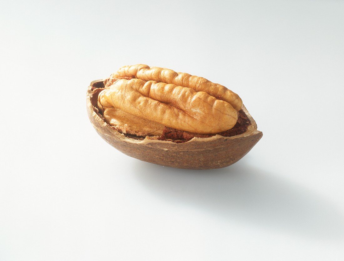 Half a pecan nut in its shell