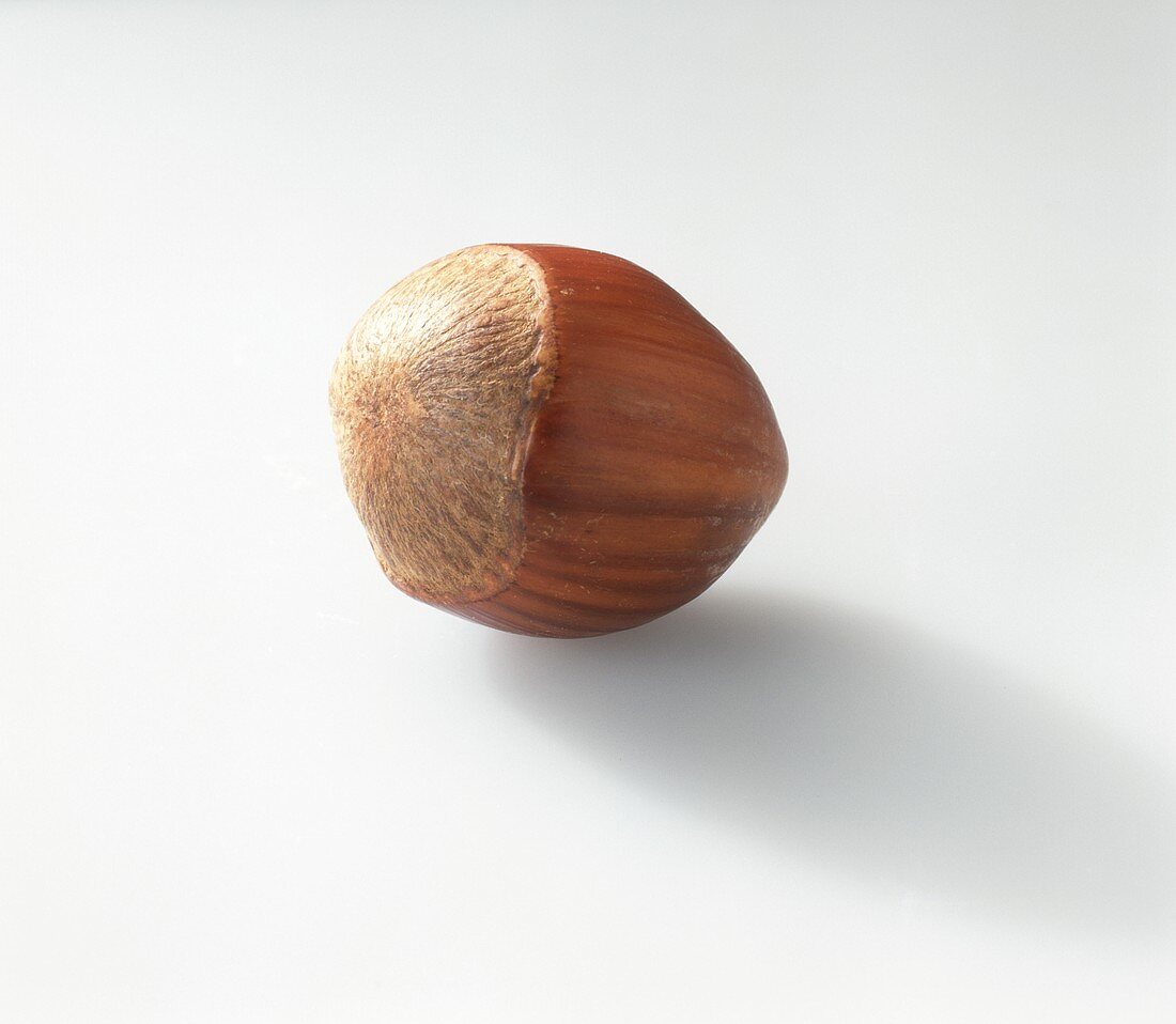 Unshelled hazelnut