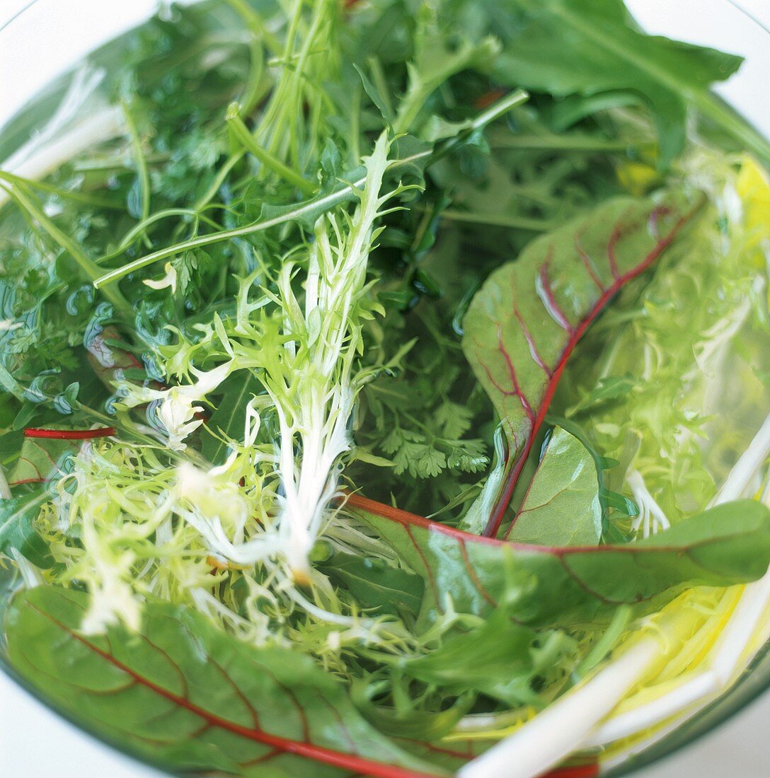 Mixed salad leaves in dish of water