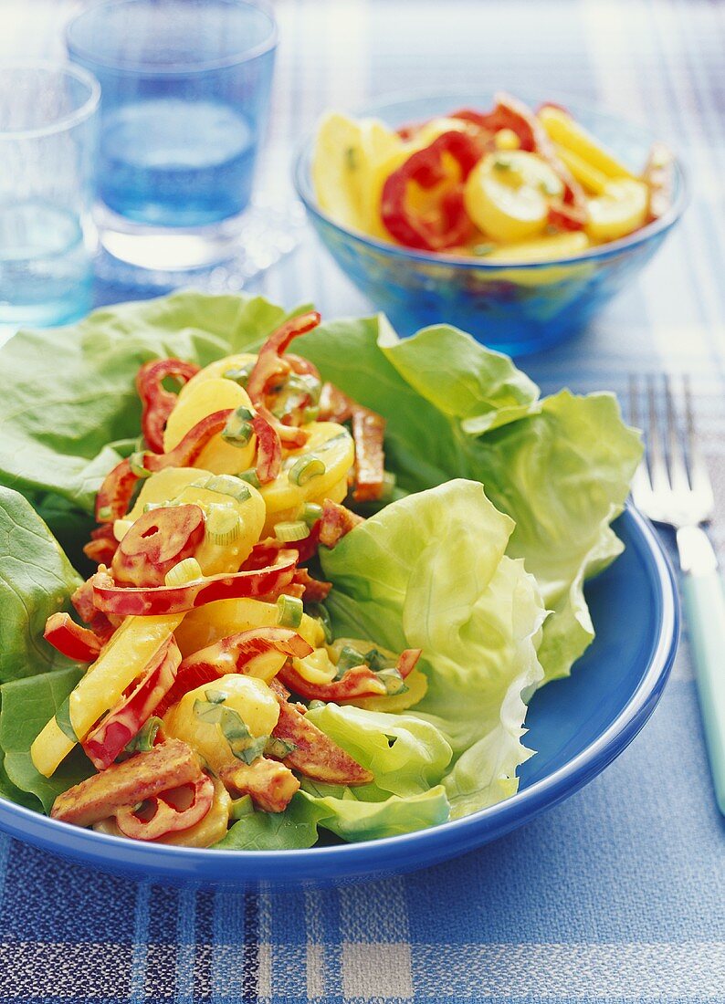 Kartoffel-Paprika-Salat mit Currysauce auf Kopfsalat